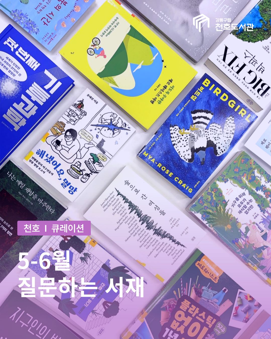 5-6월 B,C존 큐레이션