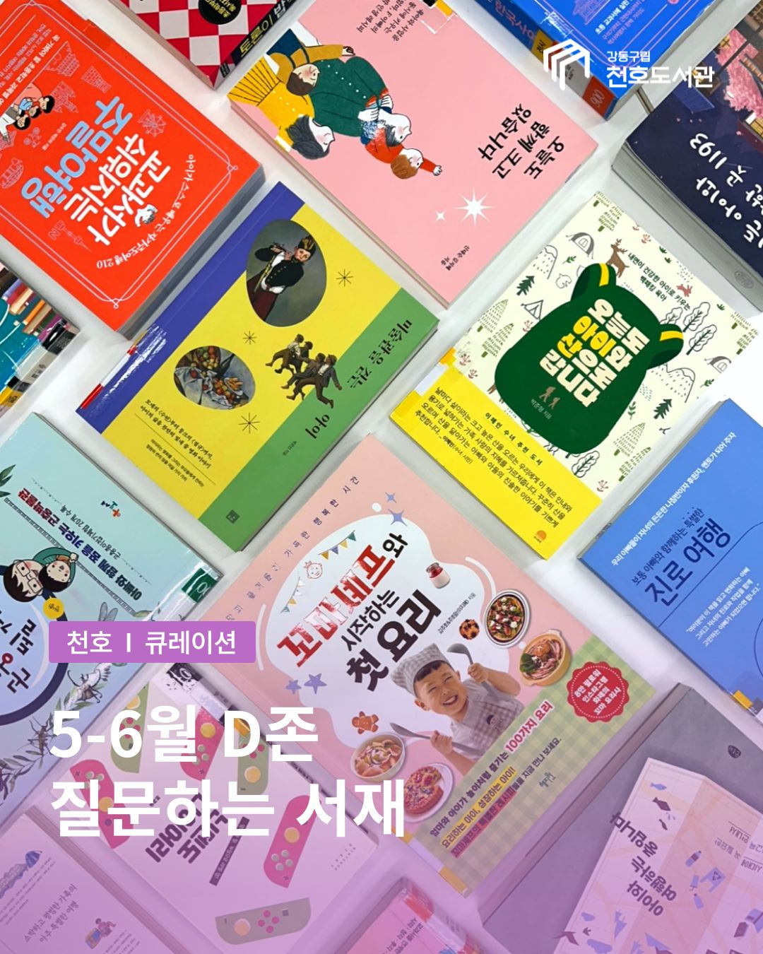 5-6월 D존 큐레이션